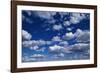 Puffy White Clouds in a Blue Sky-Rick Doyle-Framed Photographic Print