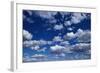 Puffy White Clouds in a Blue Sky-Rick Doyle-Framed Photographic Print