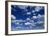 Puffy White Clouds in a Blue Sky-Rick Doyle-Framed Photographic Print