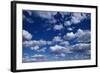 Puffy White Clouds in a Blue Sky-Rick Doyle-Framed Photographic Print