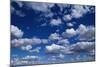 Puffy White Clouds in a Blue Sky-Rick Doyle-Mounted Photographic Print