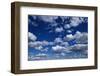 Puffy White Clouds in a Blue Sky-Rick Doyle-Framed Photographic Print