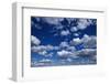 Puffy White Clouds in a Blue Sky-Rick Doyle-Framed Photographic Print