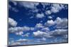 Puffy White Clouds in a Blue Sky-Rick Doyle-Mounted Photographic Print