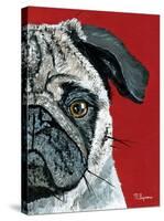 Pug a Boo-Melissa Symons-Stretched Canvas