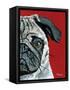 Pug a Boo-Melissa Symons-Framed Stretched Canvas