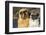 Pug (Adult Female) Portrait with Stuffed-Lynn M^ Stone-Framed Photographic Print