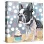 Pug Birthday-Anna Polanski-Stretched Canvas