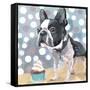 Pug Birthday-Anna Polanski-Framed Stretched Canvas