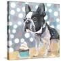 Pug Birthday-Anna Polanski-Stretched Canvas