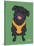 Pug Black-Tomoyo Pitcher-Stretched Canvas