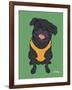 Pug Black-Tomoyo Pitcher-Framed Giclee Print