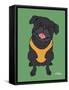 Pug Black-Tomoyo Pitcher-Framed Stretched Canvas