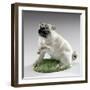 Pug, Ca 1760-null-Framed Photographic Print