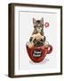 Pug Dog and Little Kitten in Red Coffee Cup Illustration-null-Framed Art Print