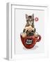 Pug Dog and Little Kitten in Red Coffee Cup Illustration-null-Framed Art Print