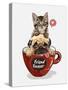 Pug Dog and Little Kitten in Red Coffee Cup Illustration-null-Stretched Canvas