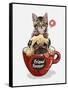 Pug Dog and Little Kitten in Red Coffee Cup Illustration-null-Framed Stretched Canvas