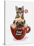 Pug Dog and Little Kitten in Red Coffee Cup Illustration-null-Stretched Canvas