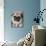 Pug Dog-Allana Wesley White-Photographic Print displayed on a wall