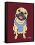 Pug Fawn-Tomoyo Pitcher-Framed Stretched Canvas