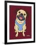 Pug Fawn-Tomoyo Pitcher-Framed Giclee Print