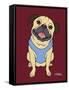 Pug Fawn-Tomoyo Pitcher-Framed Stretched Canvas