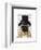Pug, Formal Hound and Hat-Fab Funky-Framed Art Print