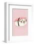 Pug - Hannah Stephey Cartoon Dog Print-Hannah Stephey-Framed Giclee Print