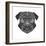 Pug Head Mesh-Lisa Kroll-Framed Premium Giclee Print