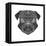 Pug Head Mesh-Lisa Kroll-Framed Stretched Canvas