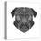 Pug Head Mesh-Lisa Kroll-Stretched Canvas