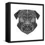 Pug Head Mesh-Lisa Kroll-Framed Stretched Canvas