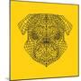 Pug Head Yellow Mesh-Lisa Kroll-Mounted Art Print