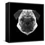 Pug Head-Lisa Kroll-Framed Stretched Canvas