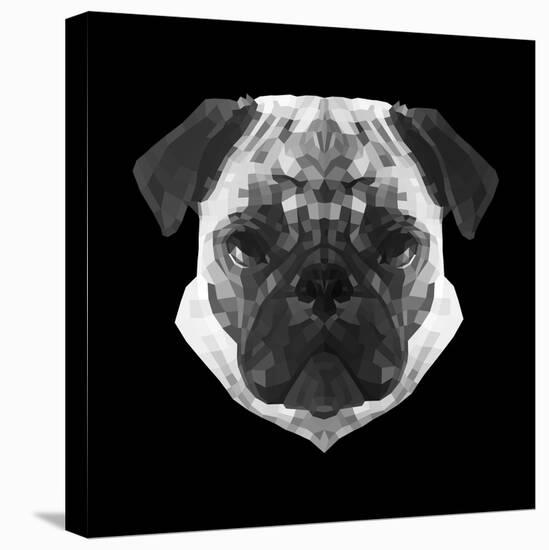 Pug Head-Lisa Kroll-Stretched Canvas