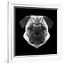 Pug Head-Lisa Kroll-Framed Art Print