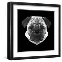 Pug Head-Lisa Kroll-Framed Art Print