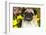 Pug in Autumn Fllowers, Geneva, Ilinois, USA-Lynn M^ Stone-Framed Photographic Print