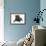 Pug in Studio-null-Framed Photographic Print displayed on a wall