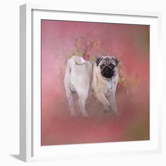 Pug in the Garden-Jai Johnson-Framed Giclee Print