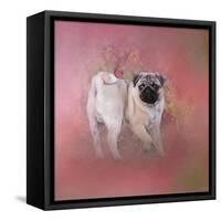 Pug in the Garden-Jai Johnson-Framed Stretched Canvas