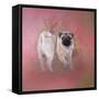 Pug in the Garden-Jai Johnson-Framed Stretched Canvas