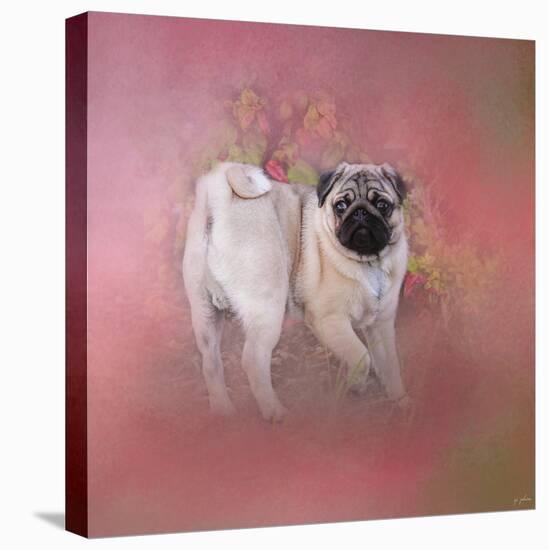 Pug in the Garden-Jai Johnson-Stretched Canvas