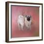 Pug in the Garden-Jai Johnson-Framed Premium Giclee Print