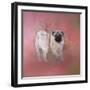 Pug in the Garden-Jai Johnson-Framed Premium Giclee Print