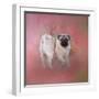 Pug in the Garden-Jai Johnson-Framed Premium Giclee Print