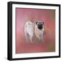 Pug in the Garden-Jai Johnson-Framed Giclee Print