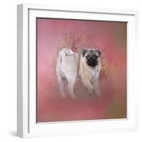 Pug in the Garden-Jai Johnson-Framed Giclee Print