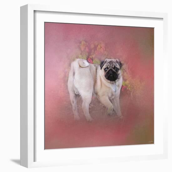 Pug in the Garden-Jai Johnson-Framed Giclee Print